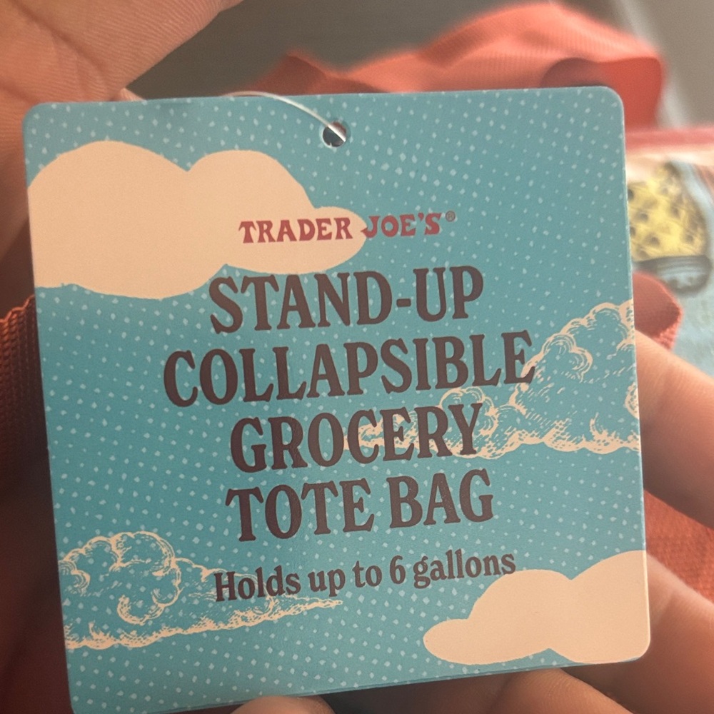 Trader Joe's Stand-Up Collapsible Grocery Tote Bags 6 Gallon 2-Pack Multicolor - Picture 3 of 9